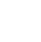 vvs fagmann - logo