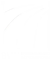 BVN - logo